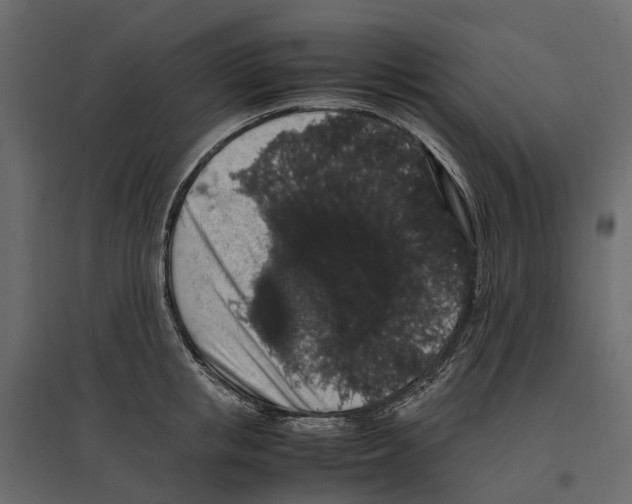 X0000097000853200803071116