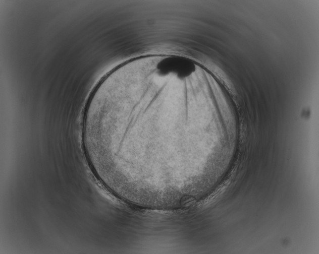 X0000097000854200803071116