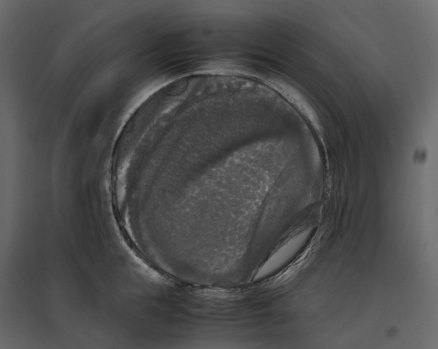 X0000097000855200803071116