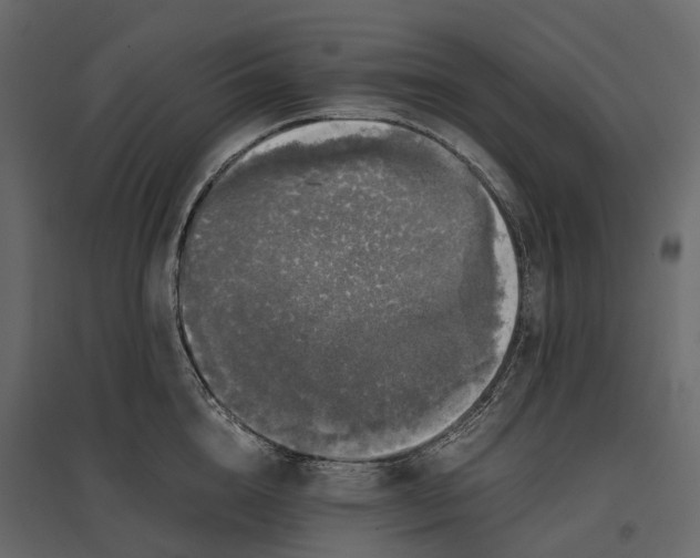 X0000097000856200803071116