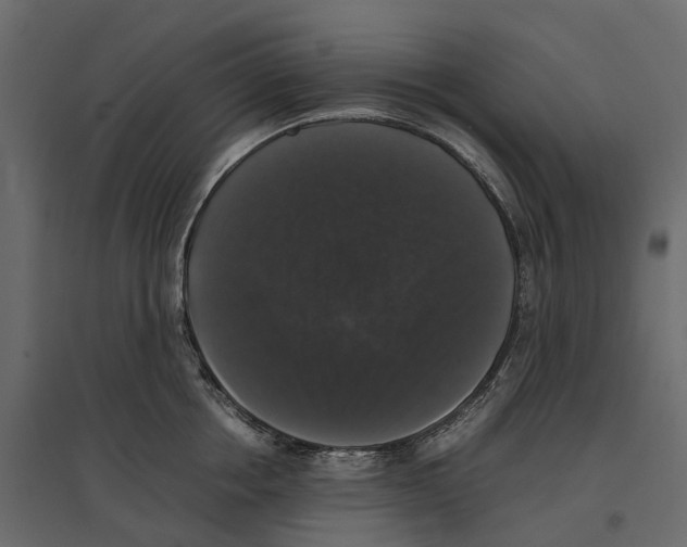 X0000097000858200803071116