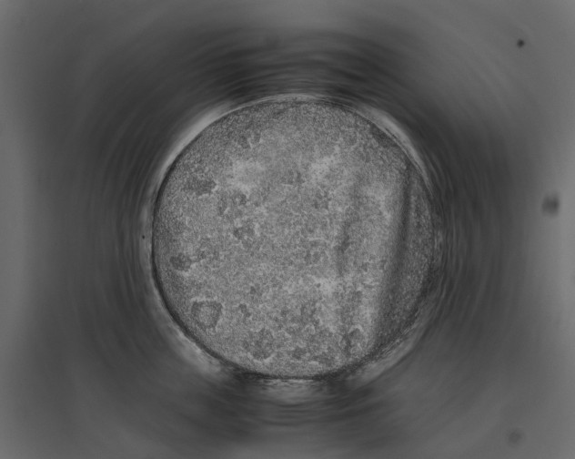 X0000097000859200803071116