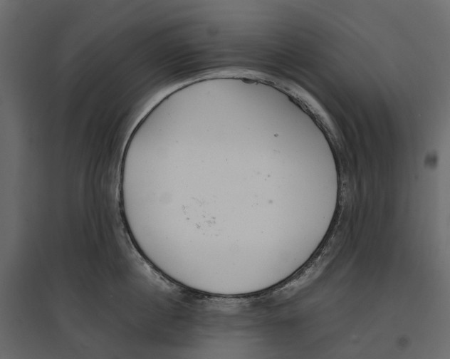 X0000097000860200803071116