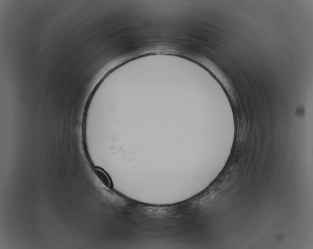 X0000097000861200803071116