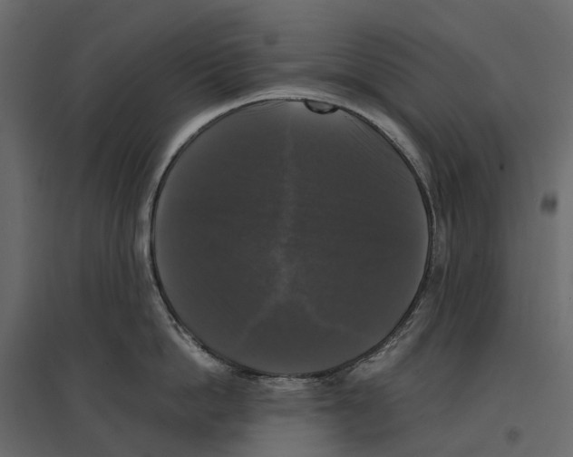 X0000097000862200803071116