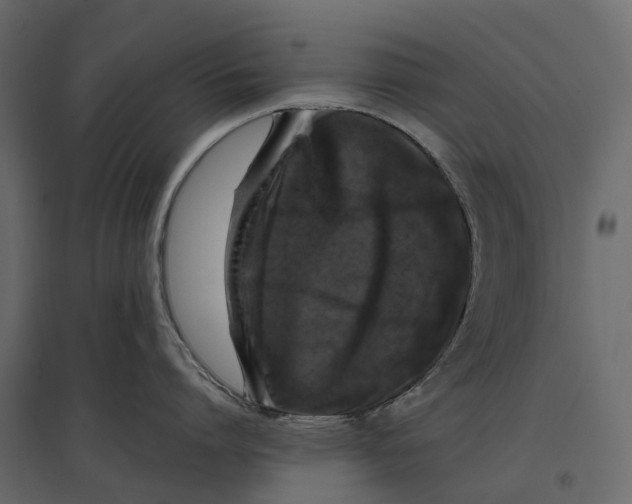 X0000097000864200803071116