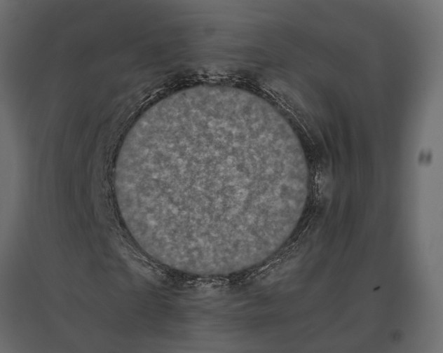 X0000097000865200803071115