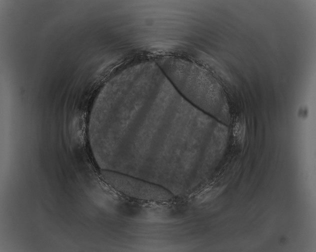 X0000097000868200803071115