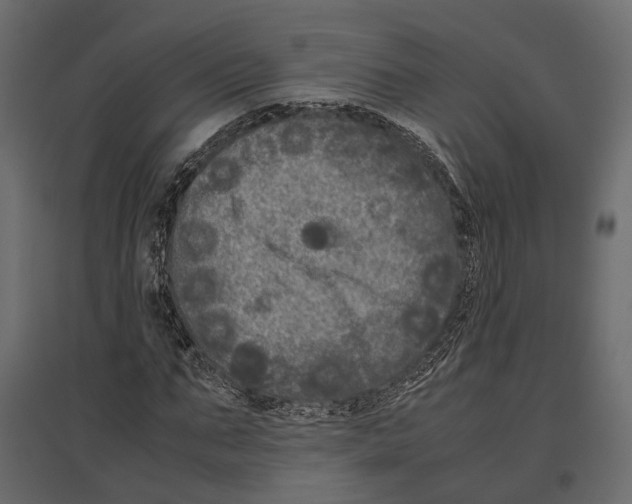 X0000097000871200803071115