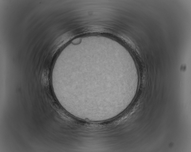 X0000097000873200803071115