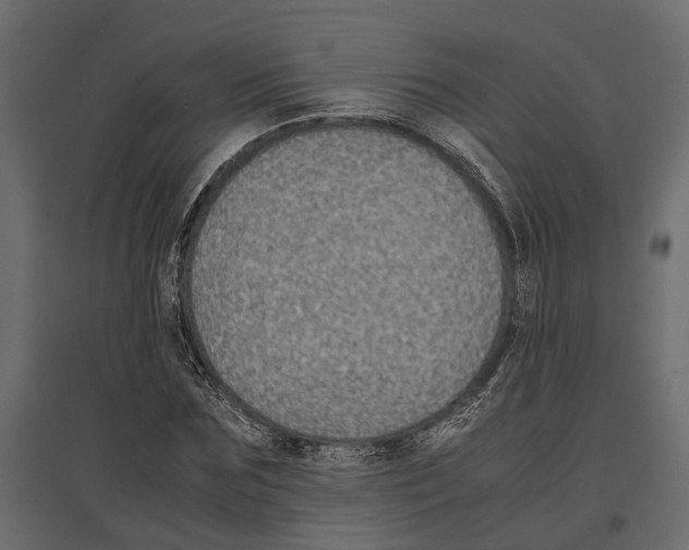 X0000097000875200803071115