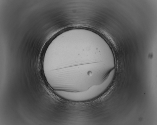 X0000097000876200803071115