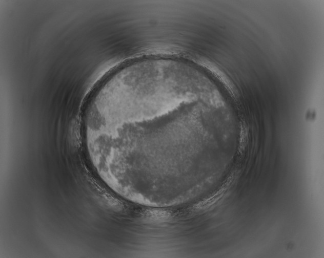 X0000097000878200803071115