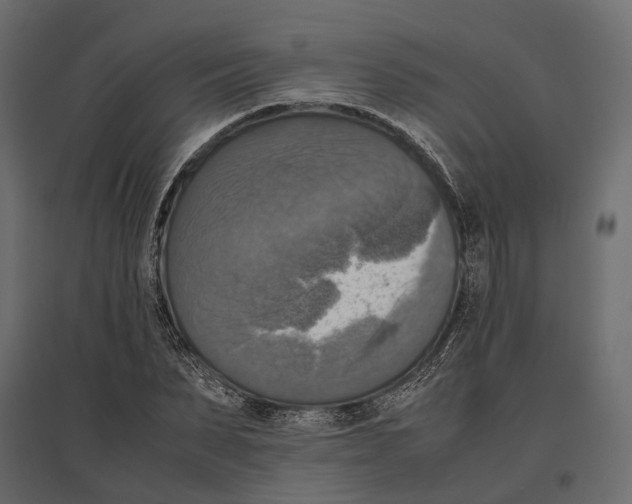 X0000097000879200803071115