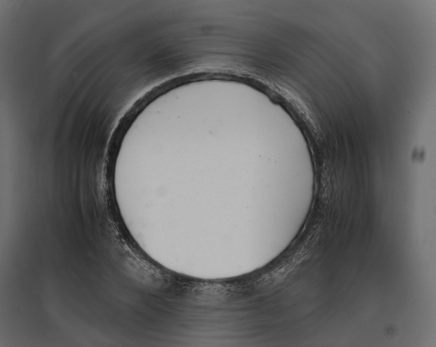 X0000097000880200803071115