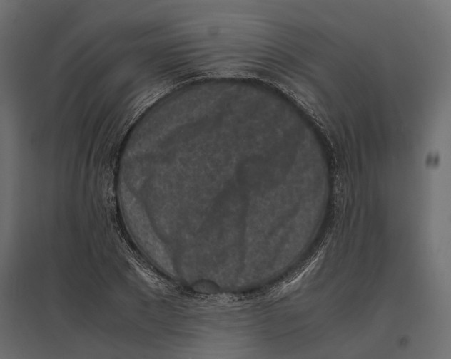 X0000097000881200803071115