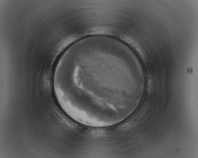 X0000097000882200803071115