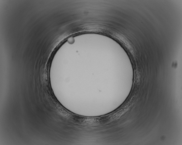 X0000097000883200803071115