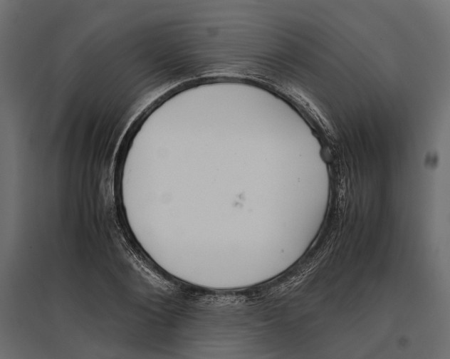 X0000097000884200803071115