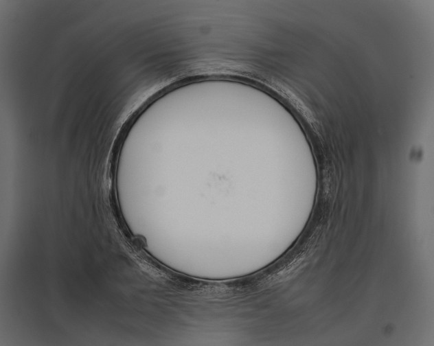 X0000097000885200803071115