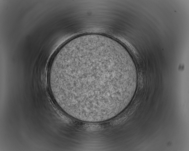 X0000097000886200803071115