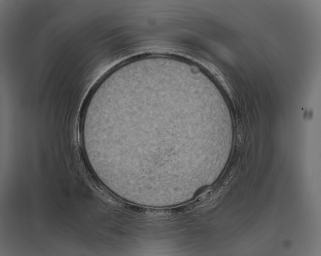 X0000097000887200803071115