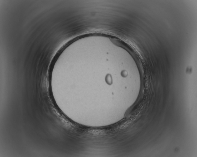 X0000097000888200803071115