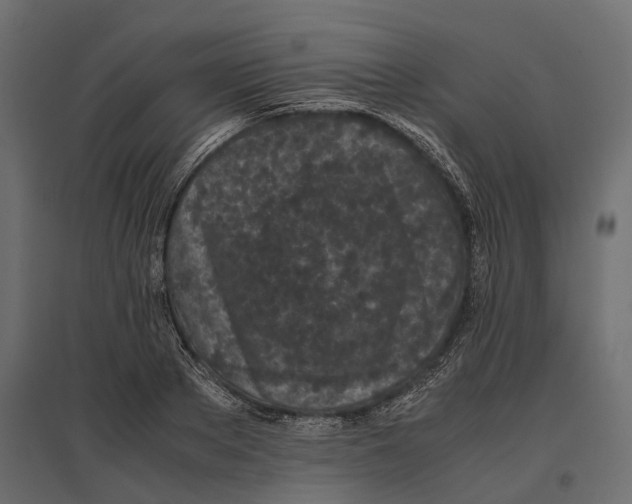 X0000097000889200803071115