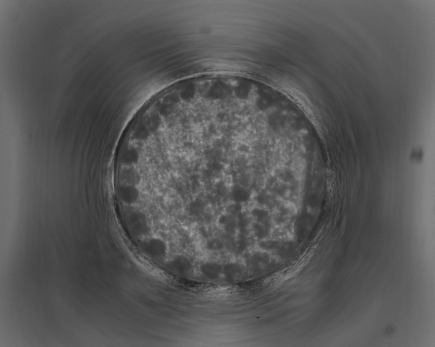 X0000097000891200803071115