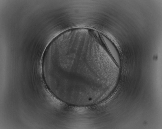 X0000097000892200803071115