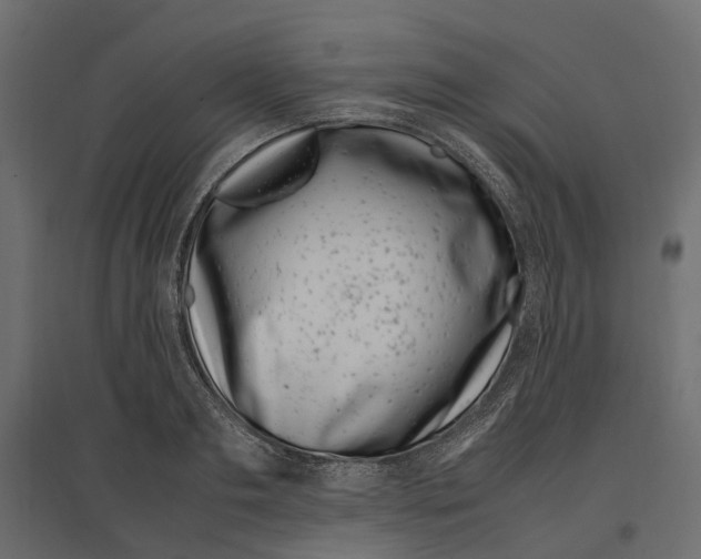 X0000097000893200803071115