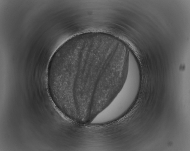 X0000097000894200803071115