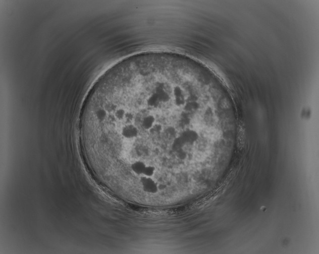 X0000097000895200803071115