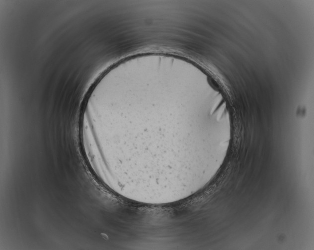 X0000097000896200803071115