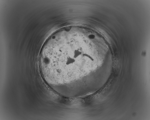 X0000097000899200803071115