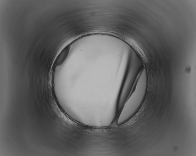 X0000097000900200803071115