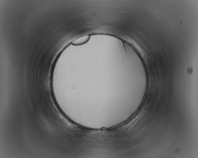 X0000097000902200803071115