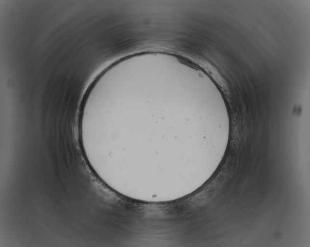 X0000097000904200803071115