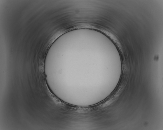 X0000097000905200803071115