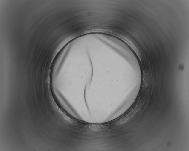 X0000097000906200803071115