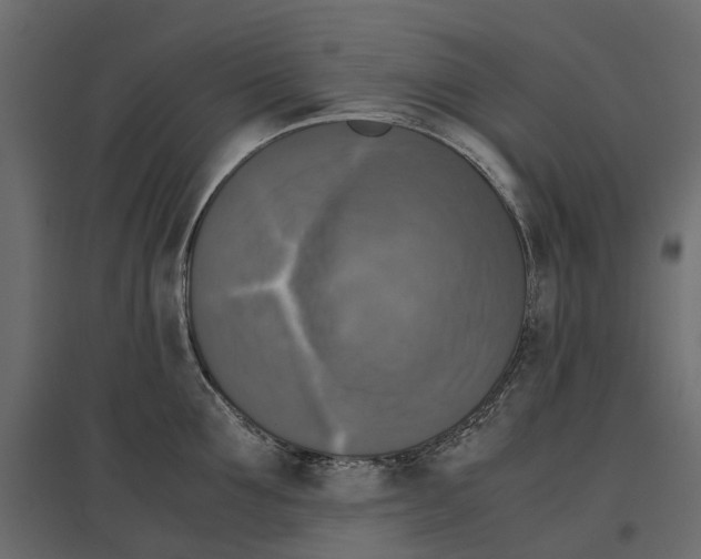 X0000097000907200803071115