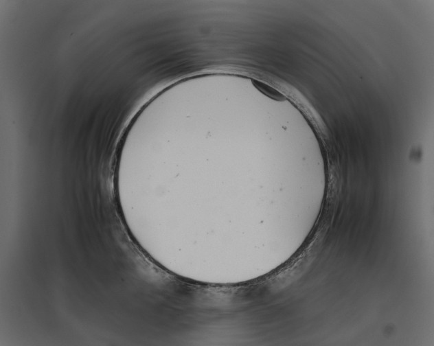 X0000097000908200803071115