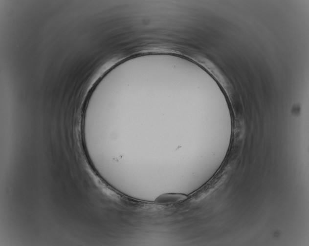 X0000097000909200803071115