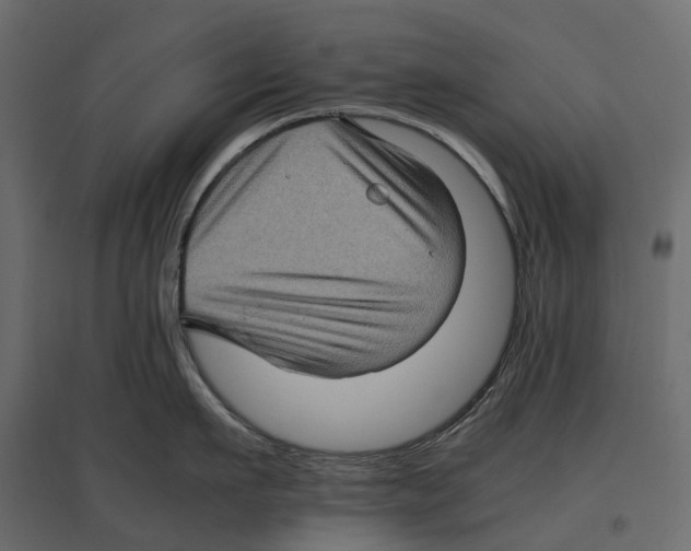 X0000097000911200803071115