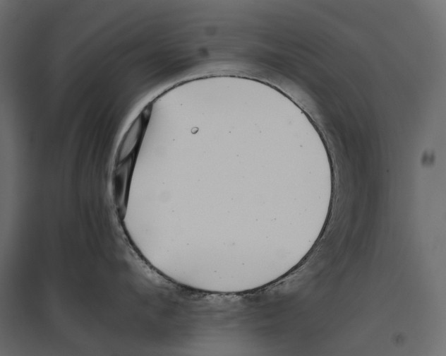 X0000097000912200803071114