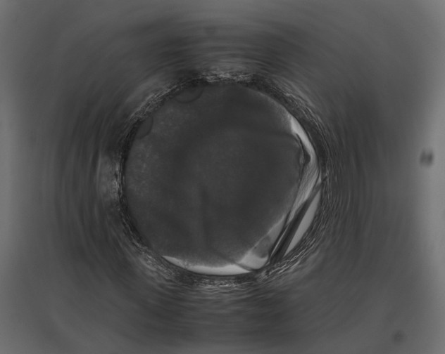 X0000097000915200803071113