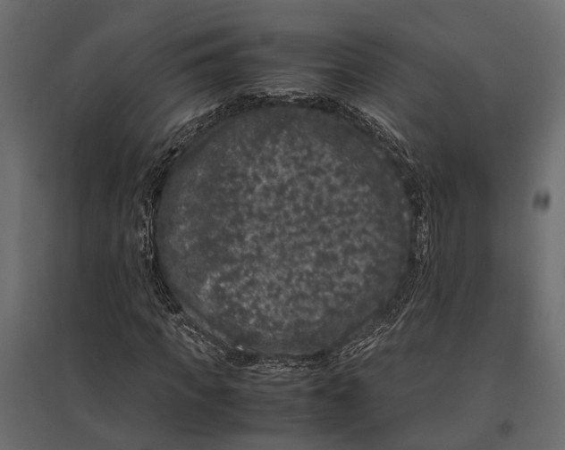 X0000097000917200803071114