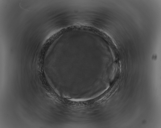 X0000097000919200803071114