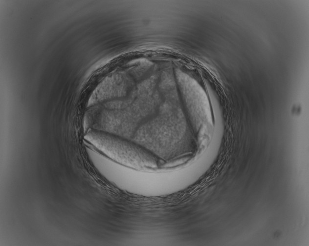 X0000097000920200803071114