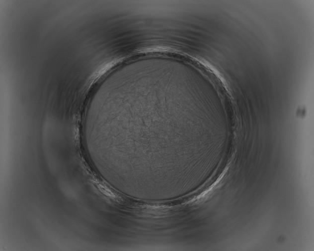 X0000097000921200803071114